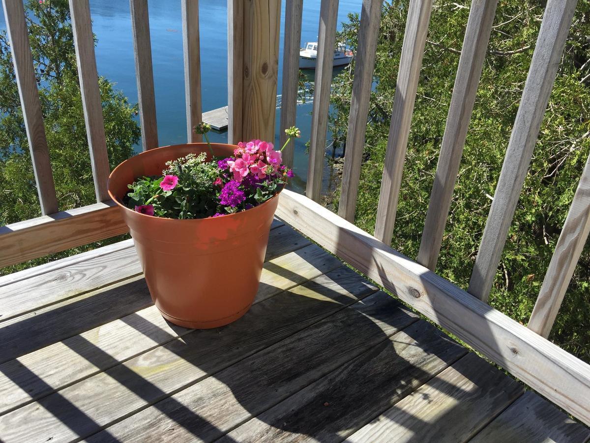 Quahog Bay Inn Harpswell 外观 照片